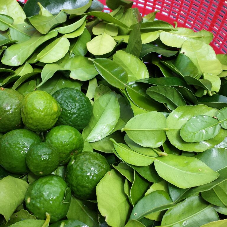 Where To Buy Kaffir Lime Leaves